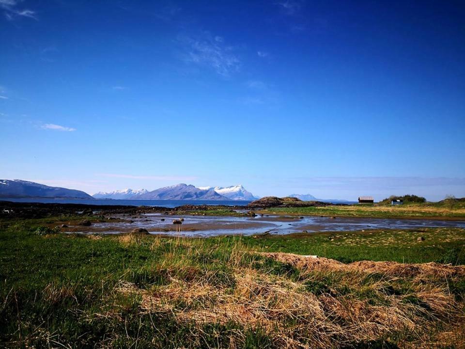 Отель Bodosjoen Camping Экстерьер фото